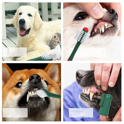 Dog Dental Care Kit